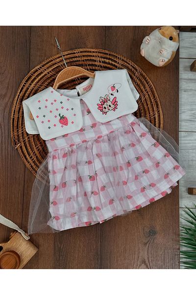 bebicix Plaid Strawberry Printed Collar Embroidered Baby Girl Tutu Dress