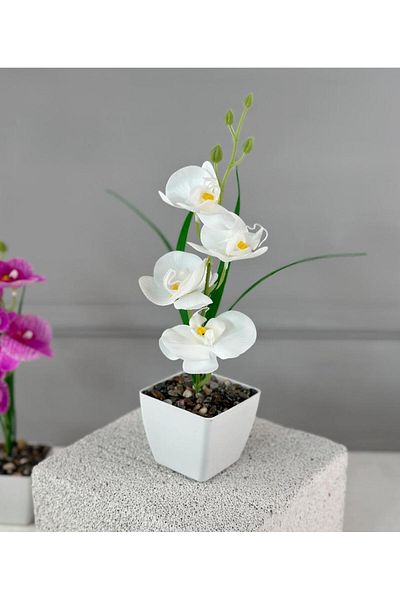 Pembeli Kızın Butiği SAKSIDA ΤΕΧΝΗΤΗ ΜΙΝΙ ΥΓΡΗ ΟΡΧΙΔΑ 30 CM ΛΕΥΚΗ