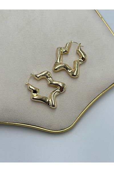 MyladyAccessoriess Medium Size Star Hoop Earrings (Steel)