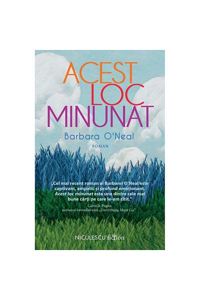 Editura Niculescu This wonderful place