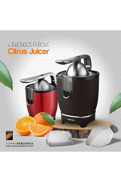 rebune Ribon Electric Citrus Juicer RE-2-108