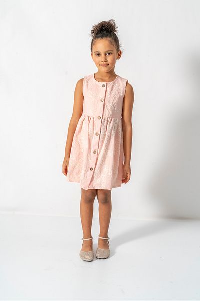 Baby Animals Baby Girl Girl Kid Birthday Party Wedding Dress Short Sleeve Sleeveless Lined