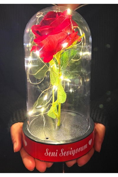 lenostra Sevgiliye Cicek Hediye Kırmızı Güllü Seni Seviyorum Yazılı Işıklı Fa...