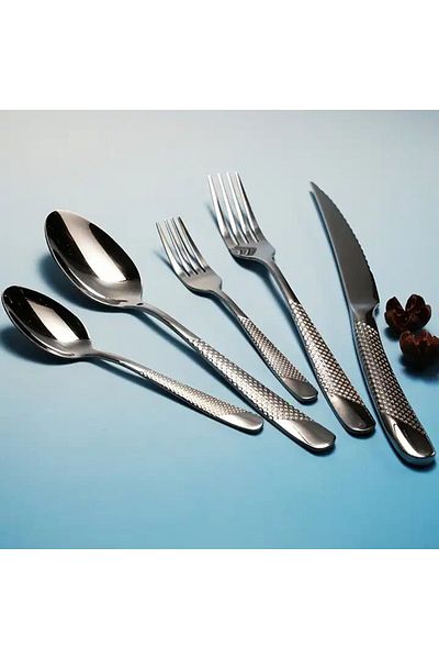 E.V.A. Home Decor Squant Silver Flatware - Set of 20 pieces