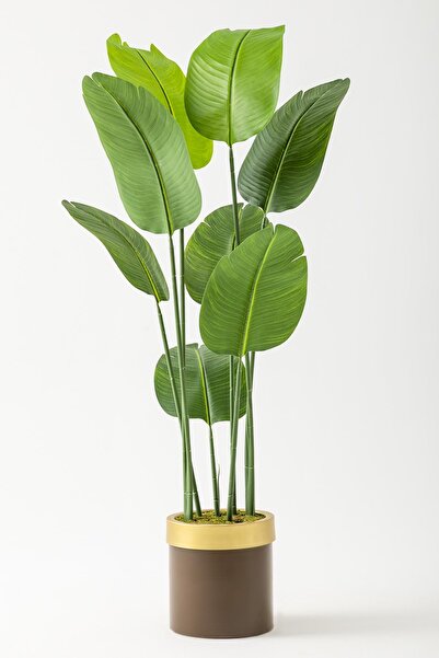 Güleç Yapay Çiçek Yapay Starliçe Ağacı 140 Cm Geniş Yapraklı Kahverengi Gold ...