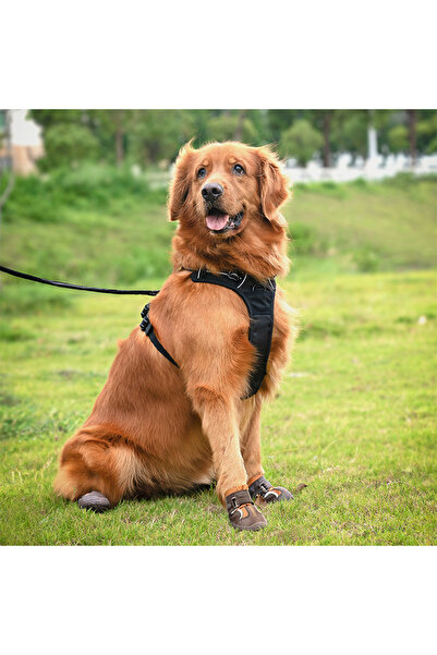 True Love Suya Dayanıklı, Nefes Alabilen, Kahverengi Köpek Ayakkabısı