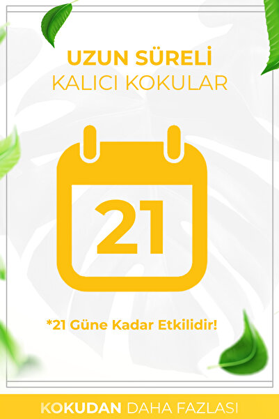 AURAN Bahar Esintisi Çubuklu Oda Kokusu Bambu Kokusu Spring Breeze Reed Diffuser 50ml