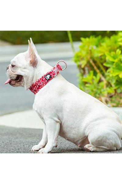 True Love Çiçek Desenli, Neoprene Süngerli Kırmızı Boyun Tasması