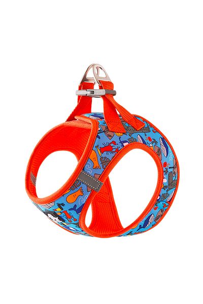 True Love Marine Step-In Blue Dog Collar