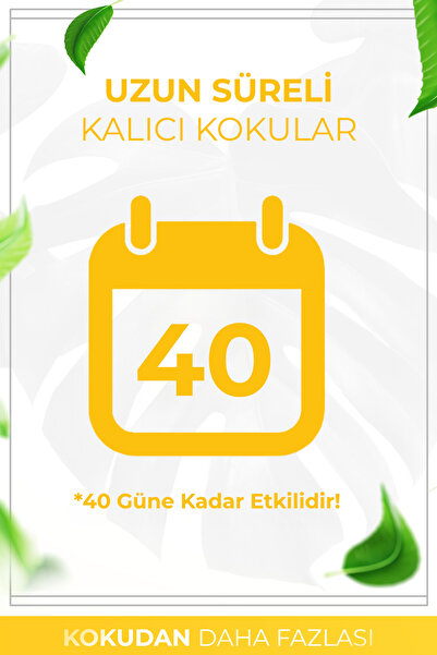 AURAN Amber - Amber Kare Bambu Çubuklu Oda Kokusu 100ml
