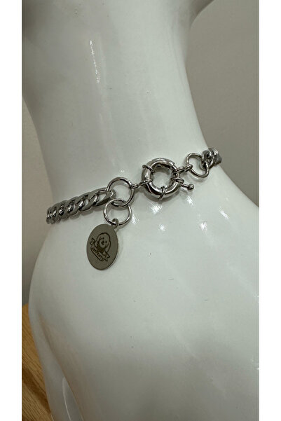 JesPawty Isimli Çelik Künyeli Zincir Kedi Köpek Kolyesi