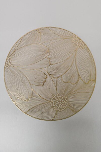 Digithome 6’lı Amerikan Servis Supla Yuvarlak Gold 38 Cm THN76948 C1-1-18