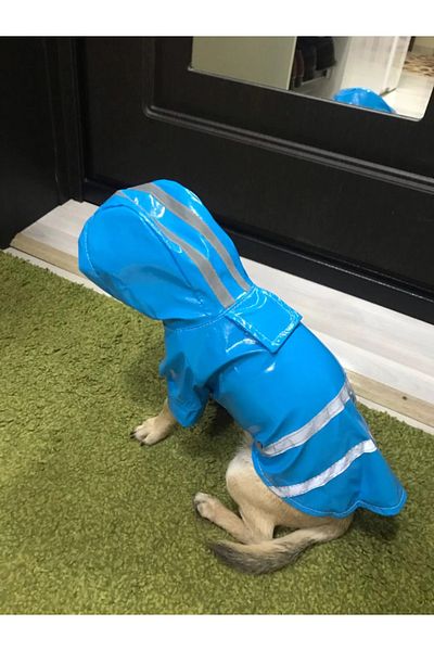 Nonbranded Pelerină de ploaie pentru câini, pisici sau alte animale de companie, reflectorizantă, cu glugă, mărimea M