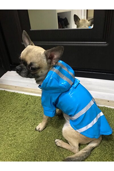 Nonbranded Pelerină de ploaie pentru câini, pisici sau alte animale de companie, reflectorizantă, cu glugă, mărimea M