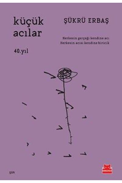 Kırmızı Kedi Yayınları Küçük Acılar - 40. Yıl