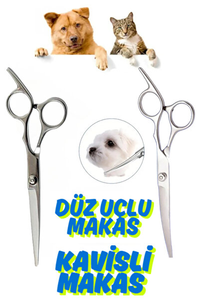 ESENLİWE 7 İnç Titanium Kavisli Makas& Mavi Yüzüklü Ara Makas 2'Li Evcil Hayv...