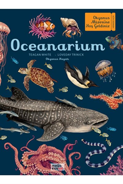 megakidslab Oceanarium - Okyanus Müzesi | ansiklopedik Çocuk Kitabı