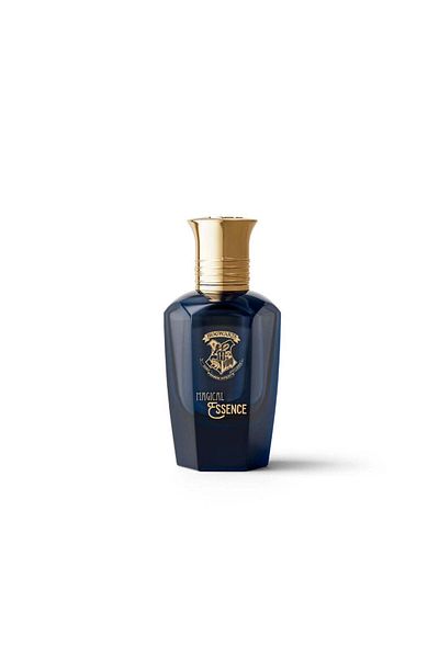 Harry Potter Apă de parfum pentru bărbați Hogwarts Magical Essence Wisdom, Harry Potter Wizarding World, 50 ml