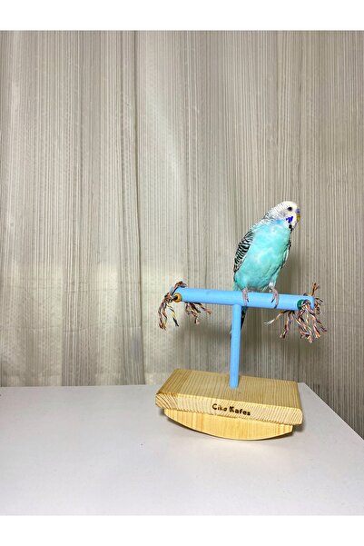 Ciko Kafes Fun and Bird Swing Perch - Seesaw