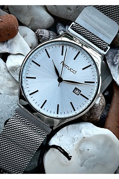 Ferrucci Men's Watch Steel 3 Atm 2 Years Warranty Bracelet