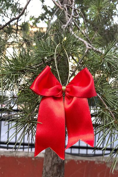Emtory Home 5 Pieces Gold Detailed Red Satin Ribbon Christmas Tree Ornament