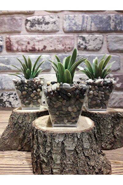 Süs ağacı 3’lü Doğal Taş Saksıda Yapay Yeşillik Yapay Çiçek Banyo Çiçeği 6cmx10cm