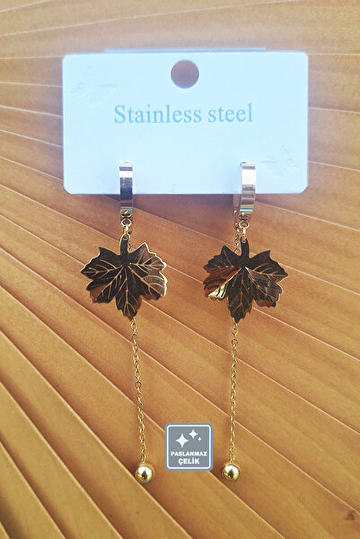 Miss TBee 🎇Küpe Festivali-Çeşit Çeşit Paslanmaz Çelik Küpeler