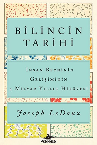 Pegasus Yayınları Bilincin Tarihi Insan Beyninin Gelişiminin 4 Milyar Yıllık ...