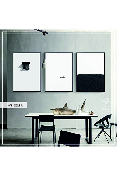 Tablomtr Metal Çerçeveli Gerçek Camlı Tablo Wheeler 3 Lü Set