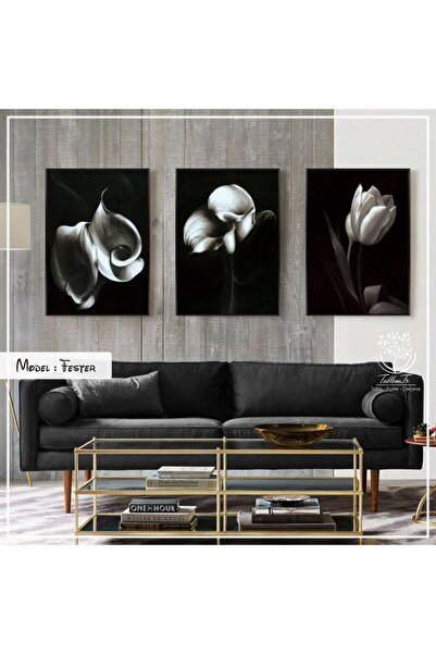 Tablomtr Metal Çerçeveli Gerçek Camlı Tablo Fester 3 Lü Set