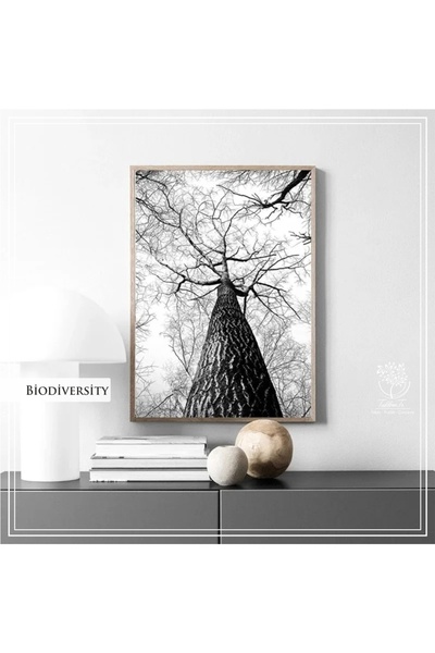 Tablomtr Metal Çerçeveli Gerçek Camlı Tablo Biodiversity TekliSet