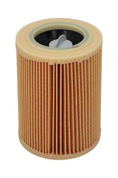 Karcher Dry Dust Filter Beige