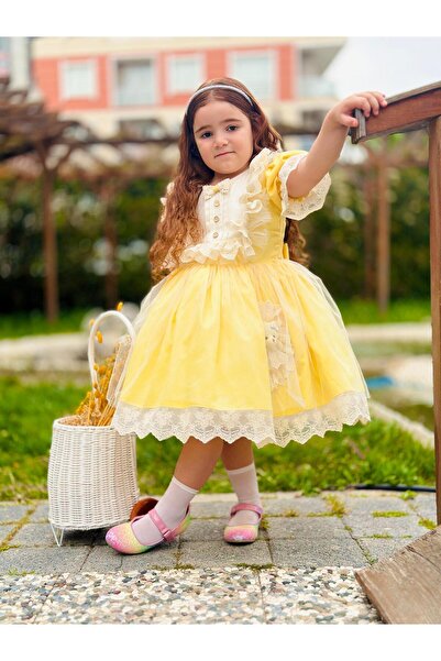 Hly Karol Tasarım Sarı Ayıcıklı Kız Bebek Elbisesi,Doğum günü elbisesi, fotoğraf çekim elbisesi,0-12 Yaşa Uygun