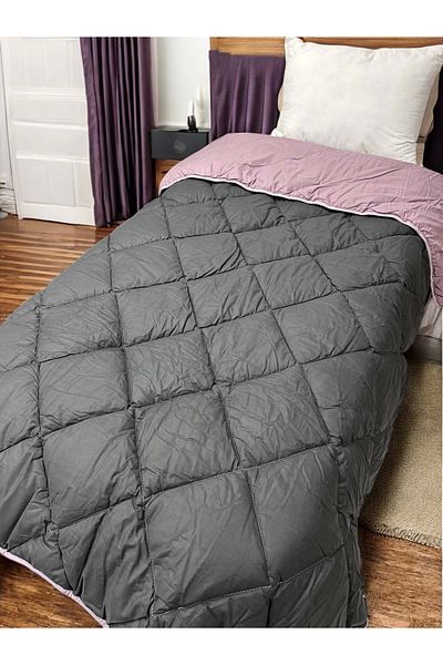 Clasy 100% Cotton Ranforce Single Double Sided Quilt Purple-Black Plain Pattern