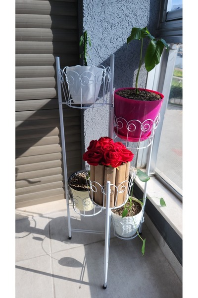 Lidya 5 Gözlü Ferforje Metal Çiçeklik - Balkon , İç ve Dış Mekan Saksılık Bitki Standı