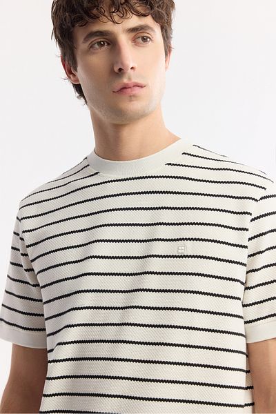 Avva Men's White Crew Neck Striped Jacquard Rib Detail T-Shirt A51Y1149