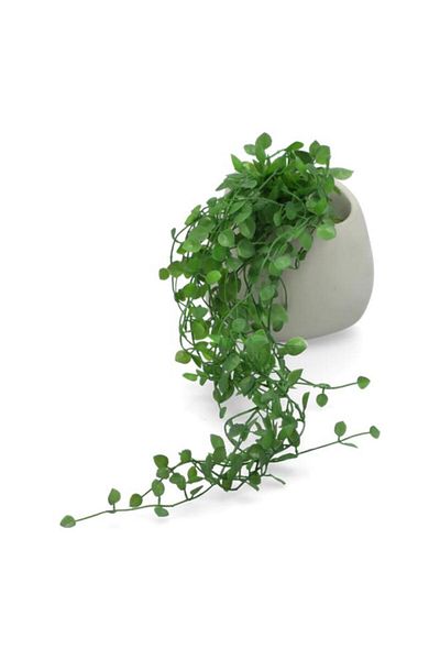 Generic نبات اللبلاب الاصطناعي الواقعي خفيف الوزن من أتموسفيرا مع وعاء باللونين الأبيض والأخضر