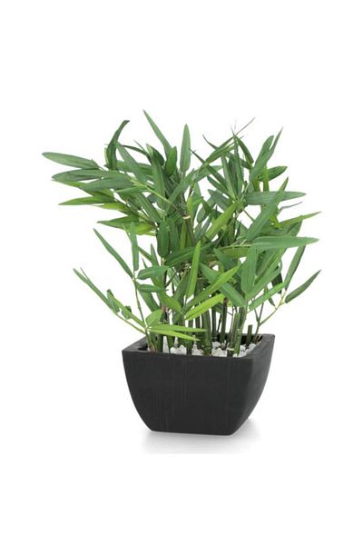 Generic نبات الخيزران الاصطناعي الواقعي خفيف الوزن ذو القاعدة المسطحة من أتموسفيرا مع مزهرية باللونين الأخضر والأسود