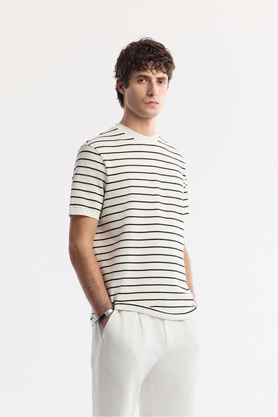 Avva Men's White Crew Neck Striped Jacquard Rib Detail T-Shirt A51Y1149