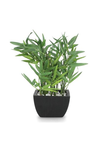 Generic نبات الخيزران الاصطناعي الواقعي خفيف الوزن ذو القاعدة المسطحة من أتموسفيرا مع مزهرية باللونين الأخضر والأسود