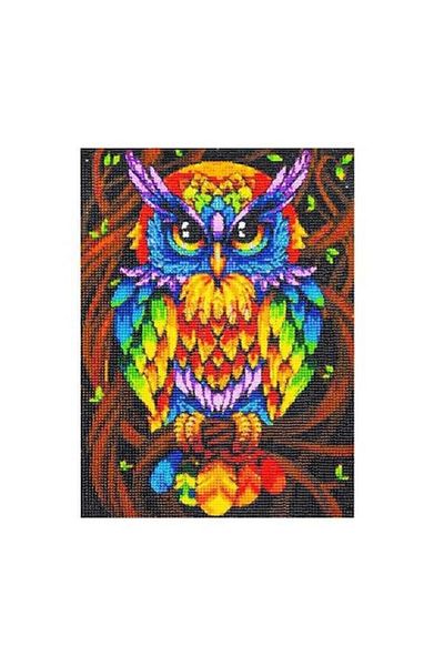ISO TRADE Creative Set with Round Diamonds Diamond Painting 40x30 cm Owl, Iso Trade