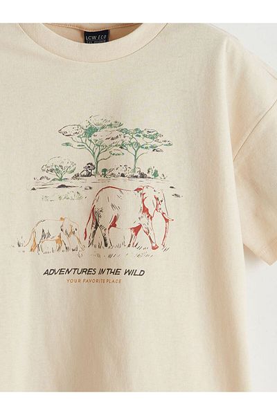 LC Waikiki New Season Crew Neck Men's T-Shirt - S5Iu48Z4