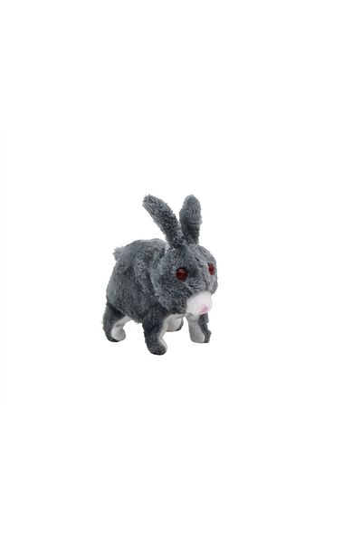 rexa Moving rabbit game