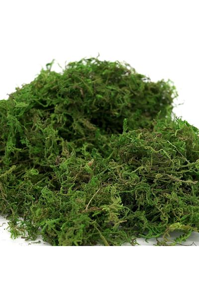 co arma Artificial green moss for decoration, suitable for swimming pools and gardens