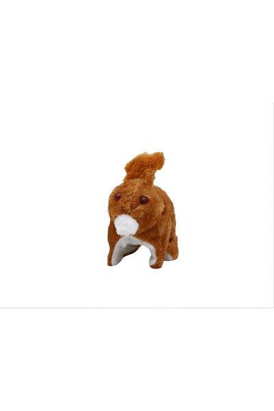 rexa Moving rabbit game