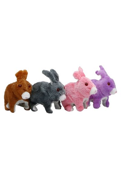 rexa Moving rabbit game