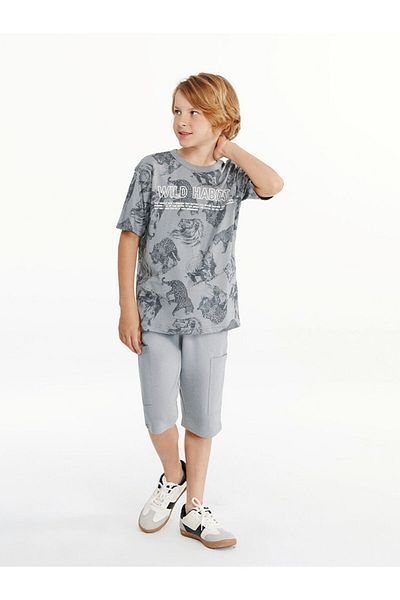 LC Waikiki New Season Crew Neck Boy's T-Shirt - S58830Z4