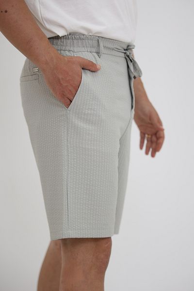EXSPORT Si̇lver Striped Pants Shorts