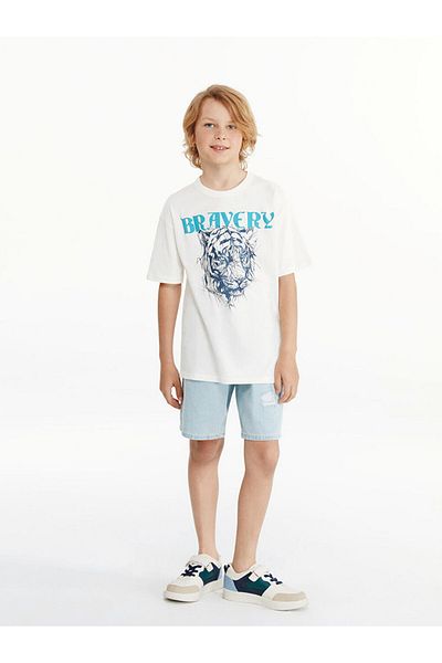 LC Waikiki New Season Crew Neck Men's T-Shirt - S59140Z4