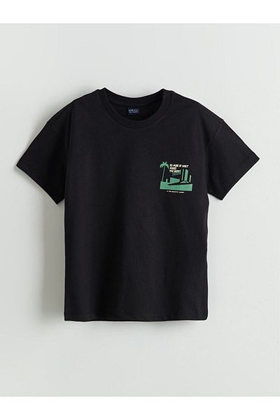 LC Waikiki Lcw Crew Neck Boy T-Shirt
